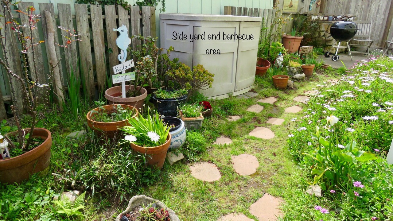 Photo of Outdoor in Salmon Creek