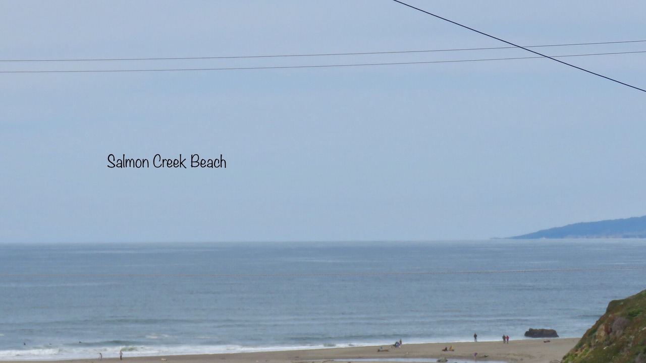 Photo of Others in Salmon Creek