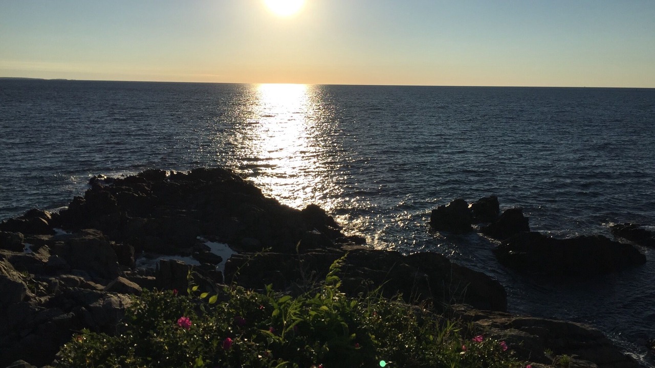 Photo of Others in Ogunquit