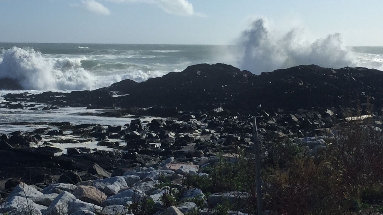 Photo of Others in Ogunquit