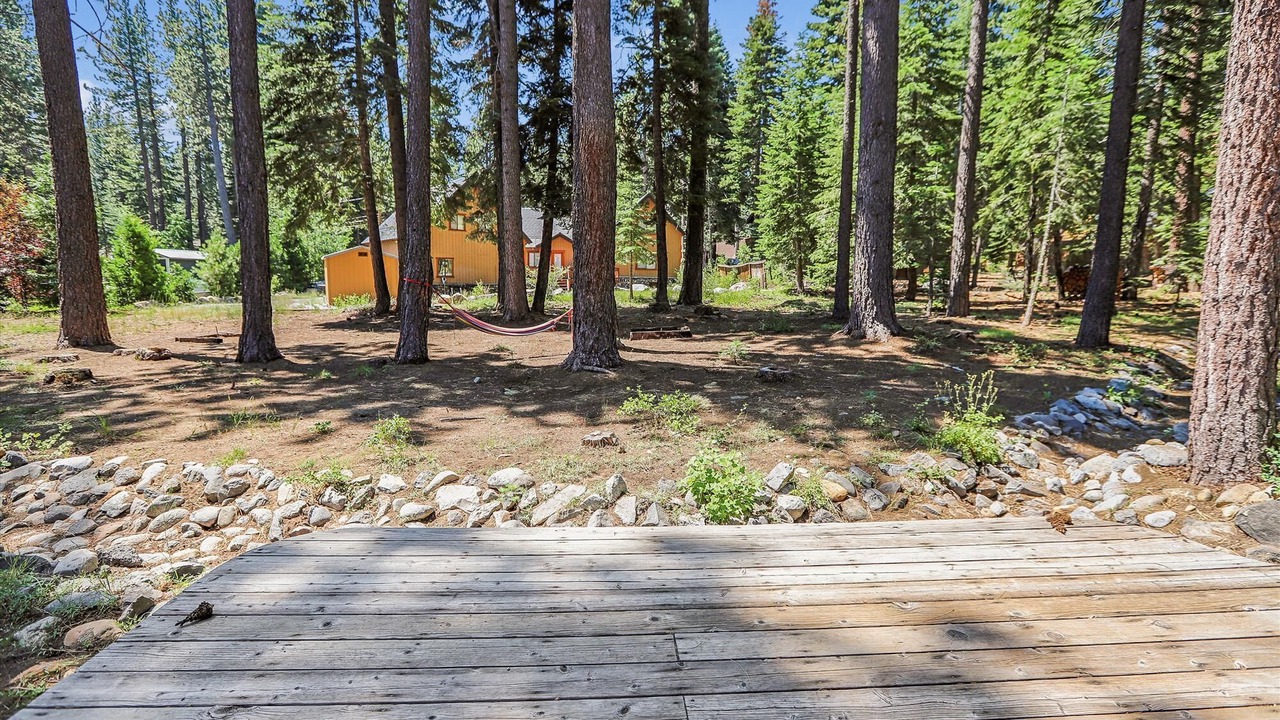 Photo of Outdoor in Pineland