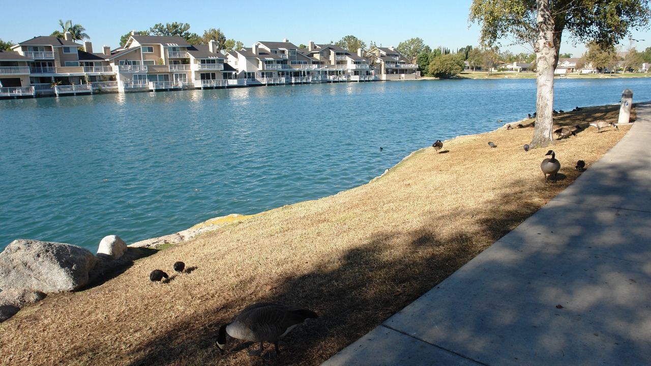 Photo of Outdoor in Northwood
