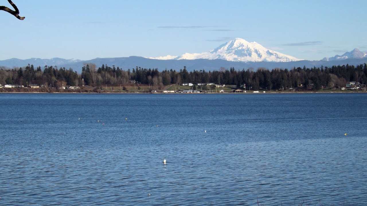 Photo of Others in Lummi Island