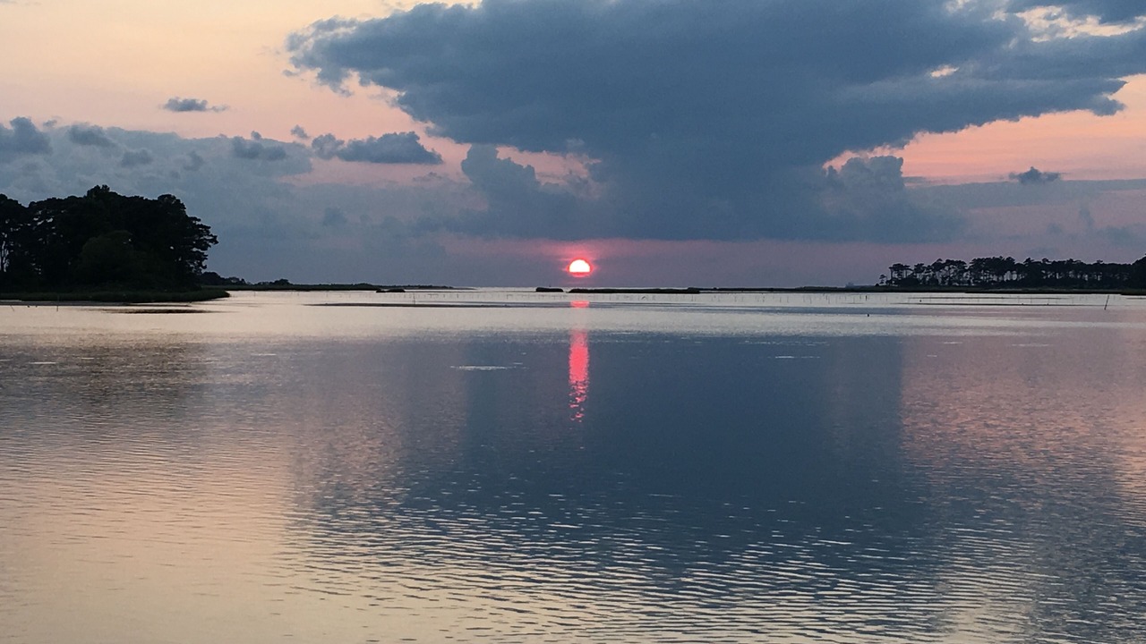 Photo of Others in Dalbys