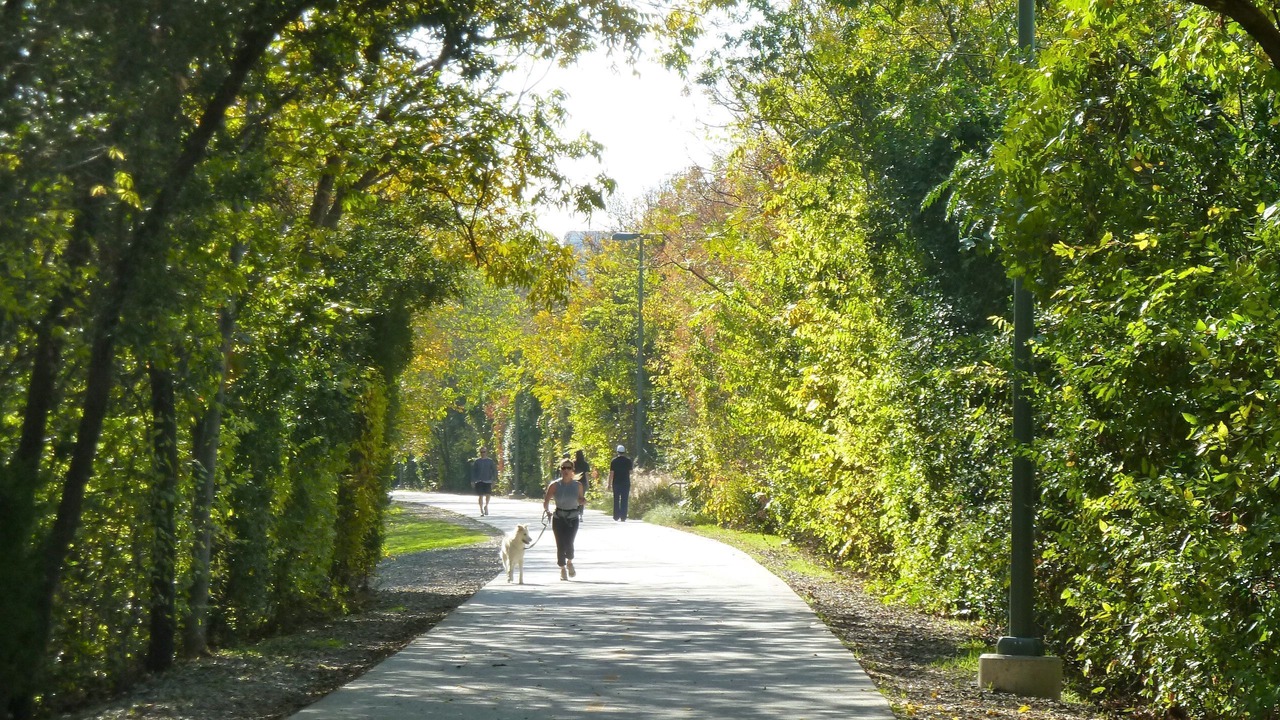 Photo of Outdoor in Oak Lawn