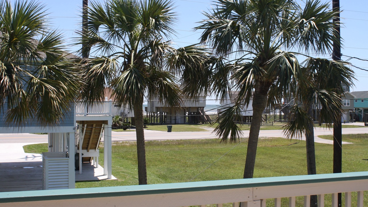 Photo of Others in Galveston