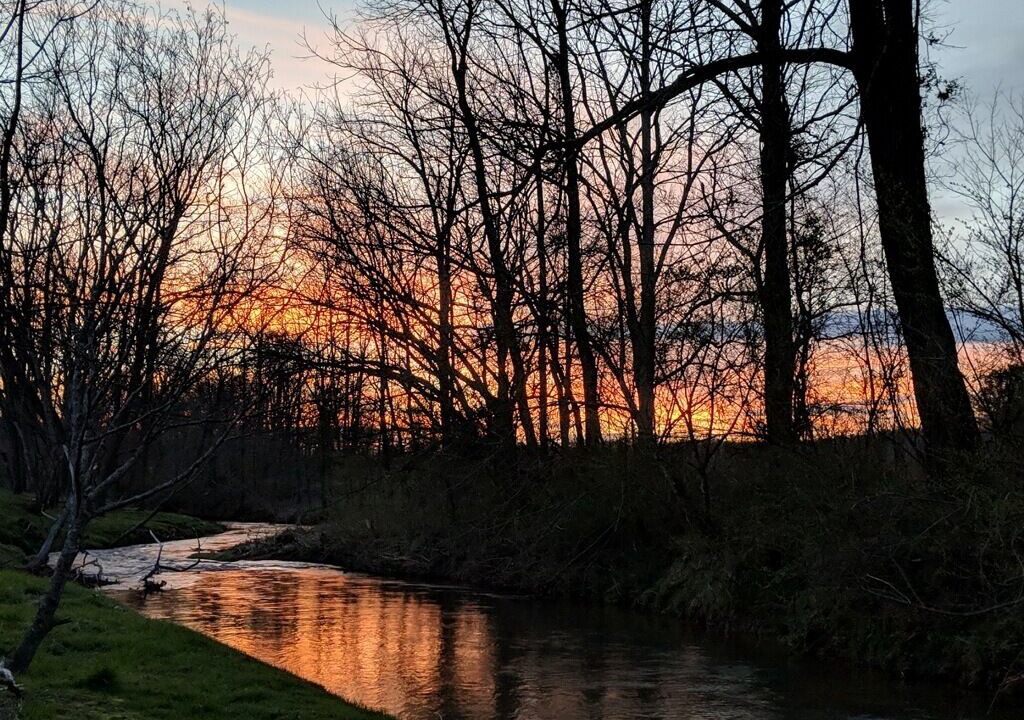 Photo of Outdoor in Hemp