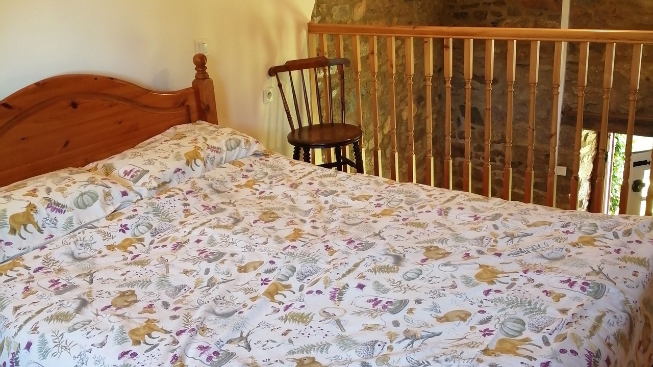 Photo of Bedroom in Beganne