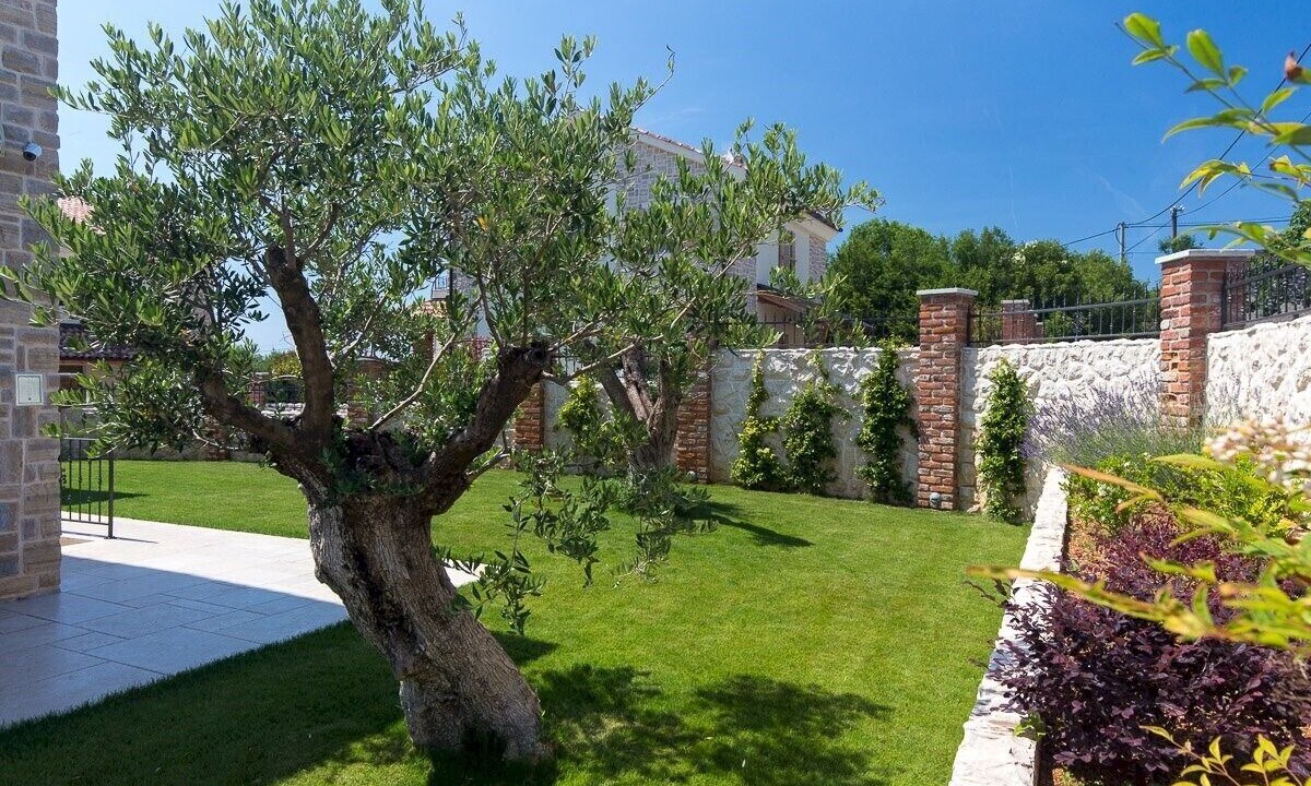 Photo of Outdoor in Kras