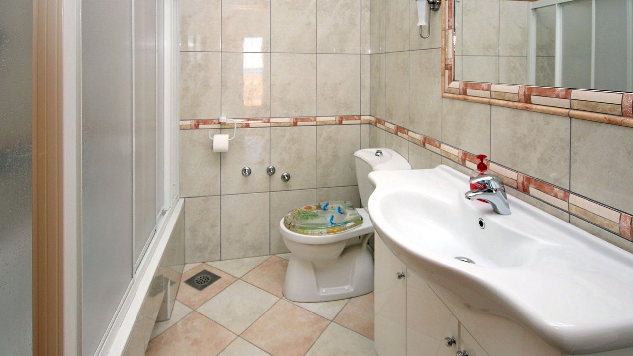 Photo of Bathroom in Zupa dubrovacka
