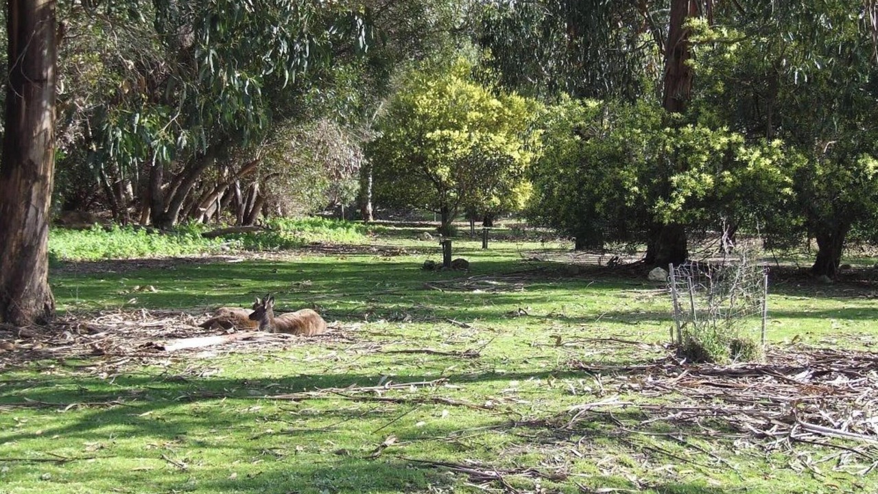 Photo of Bedroom in McDonald