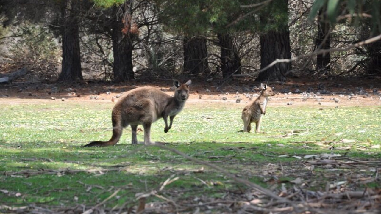Photo of Outdoor in McDonald