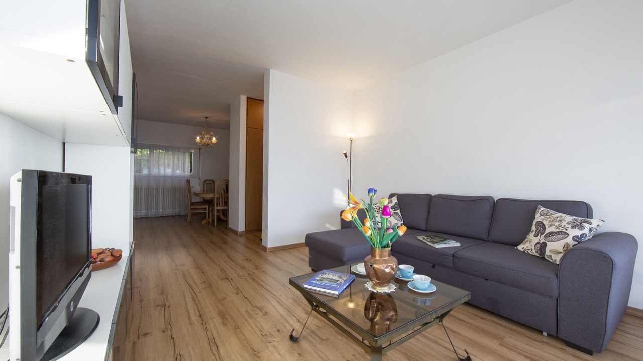 Photo of Livingroom in Aldesago