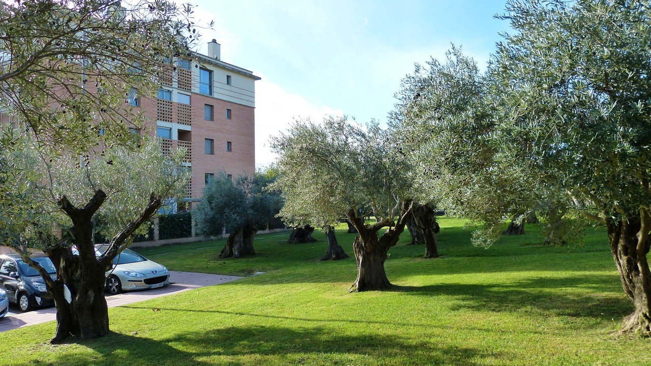 Photo of Outdoor in Sant Antoni de Calonge