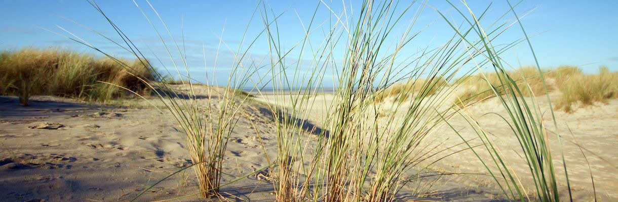Photo of Others in Le Touquet-Paris-Plage