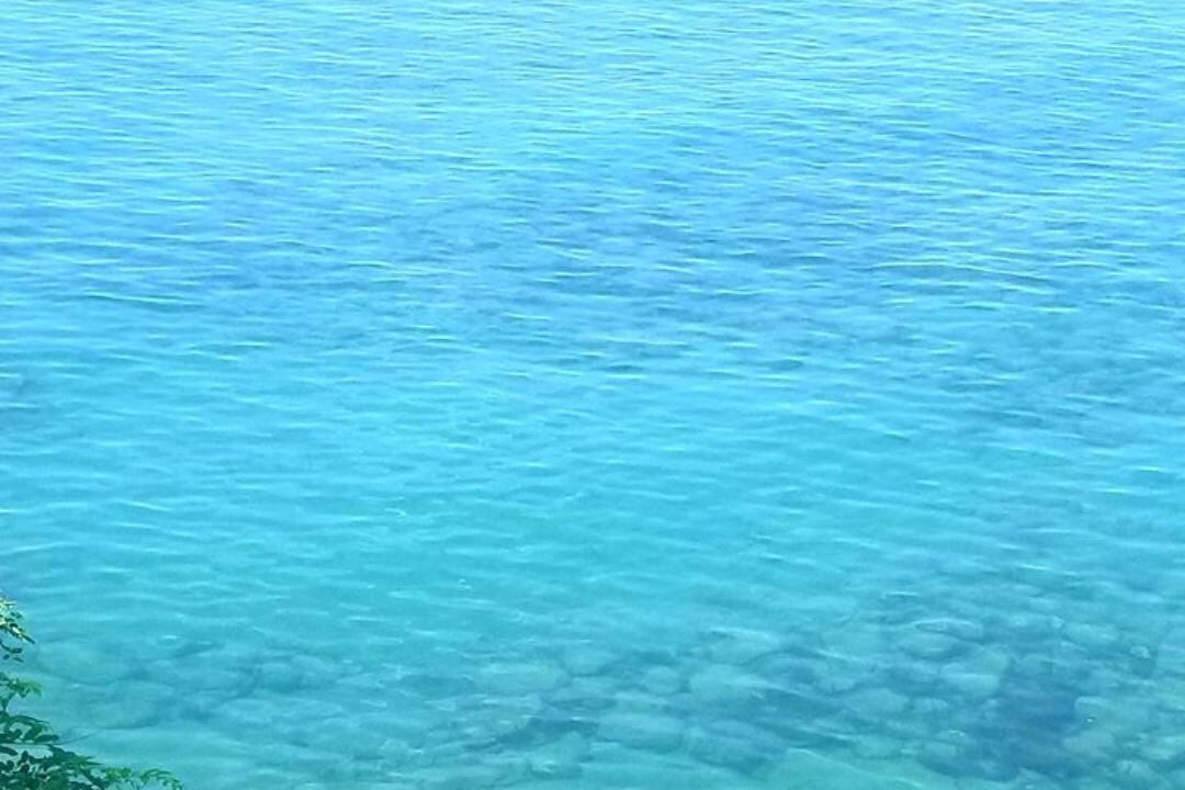 Photo of Others in Ripley