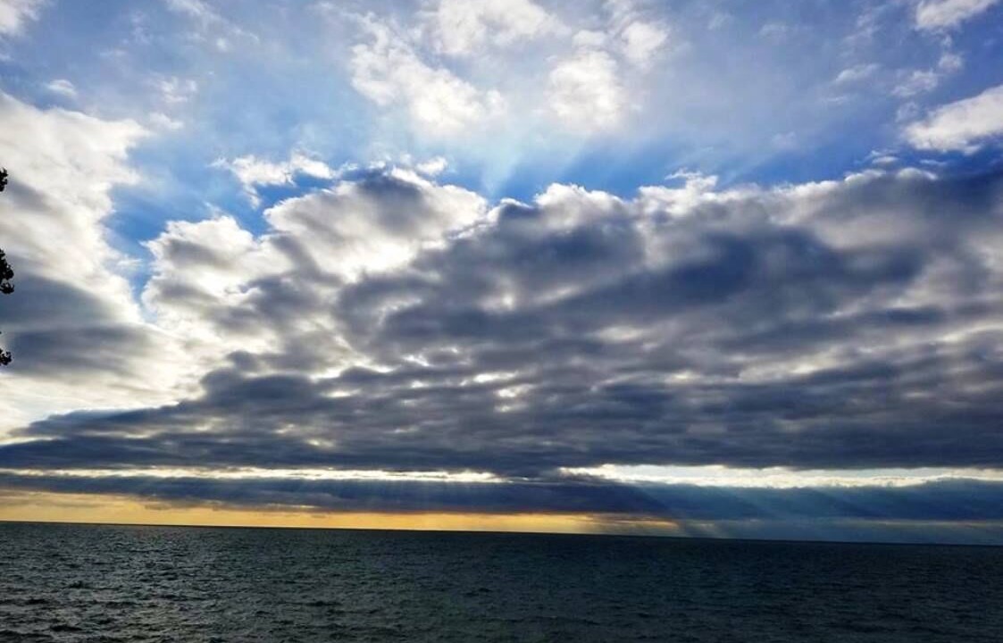 Photo of Others in Ripley