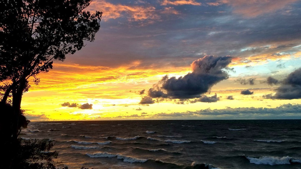 Photo of Others in Ripley