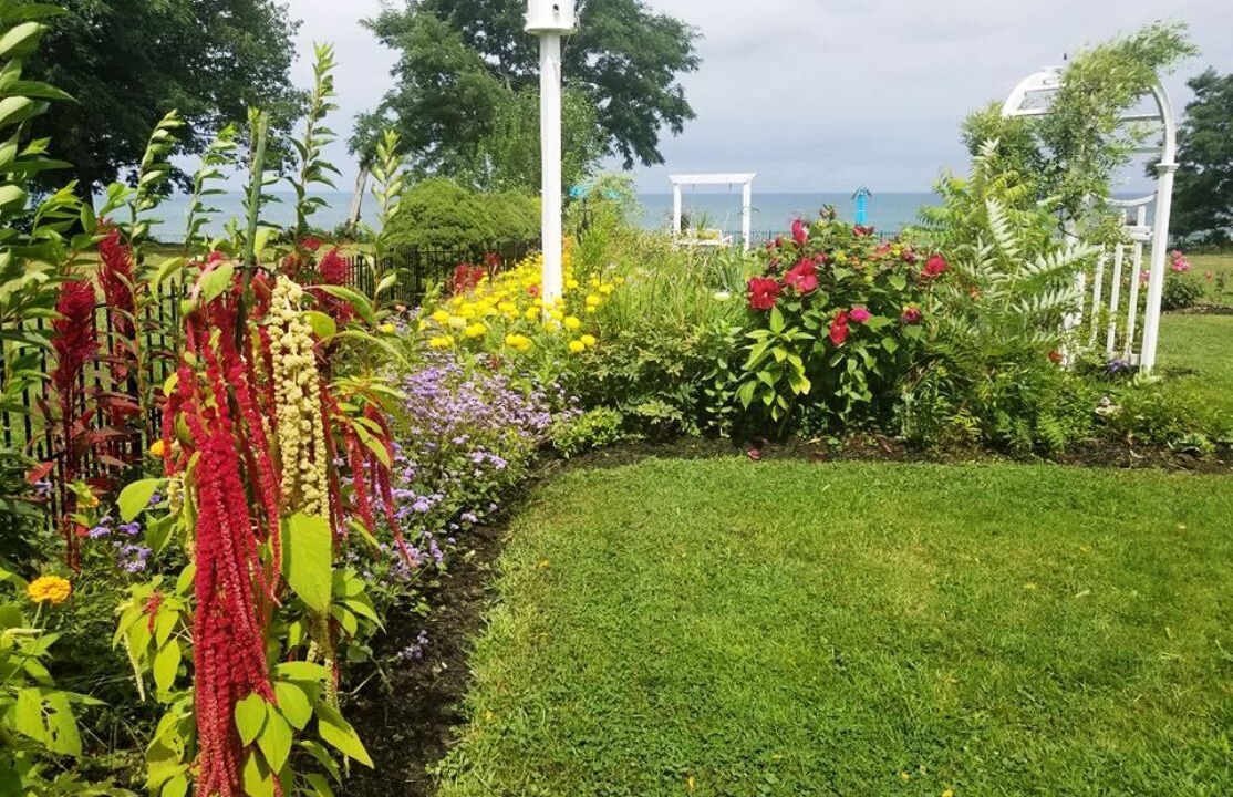 Photo of Others in Ripley