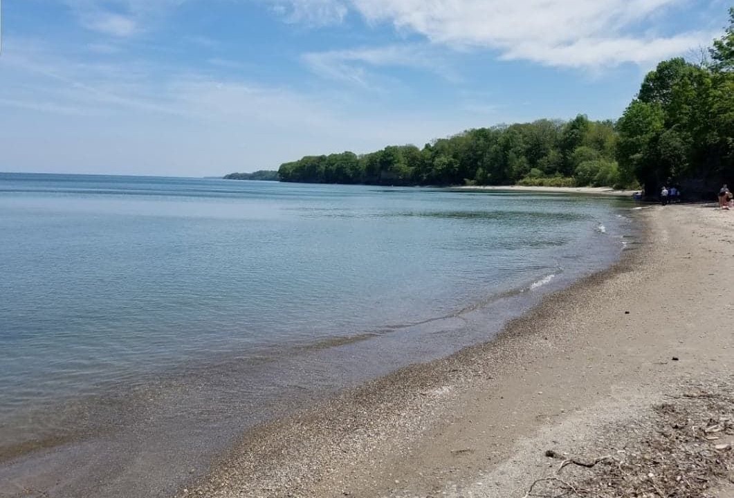 Photo of Others in Ripley