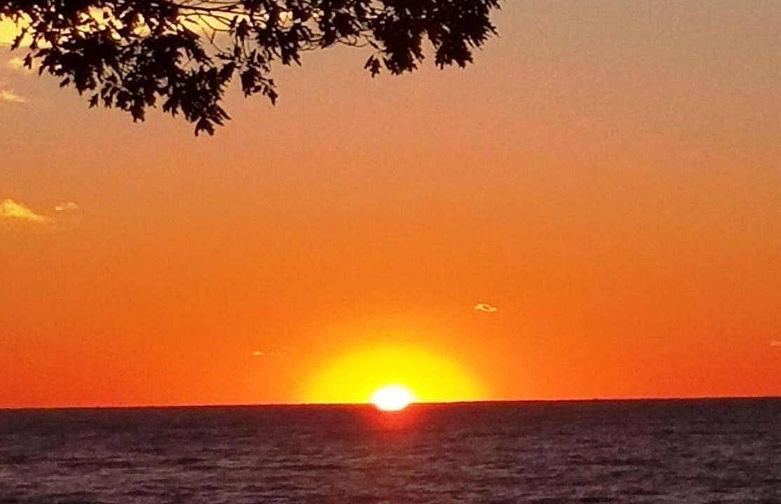 Photo of Others in Ripley