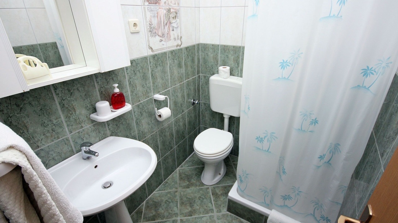 Photo of Bathroom in Zupa dubrovacka