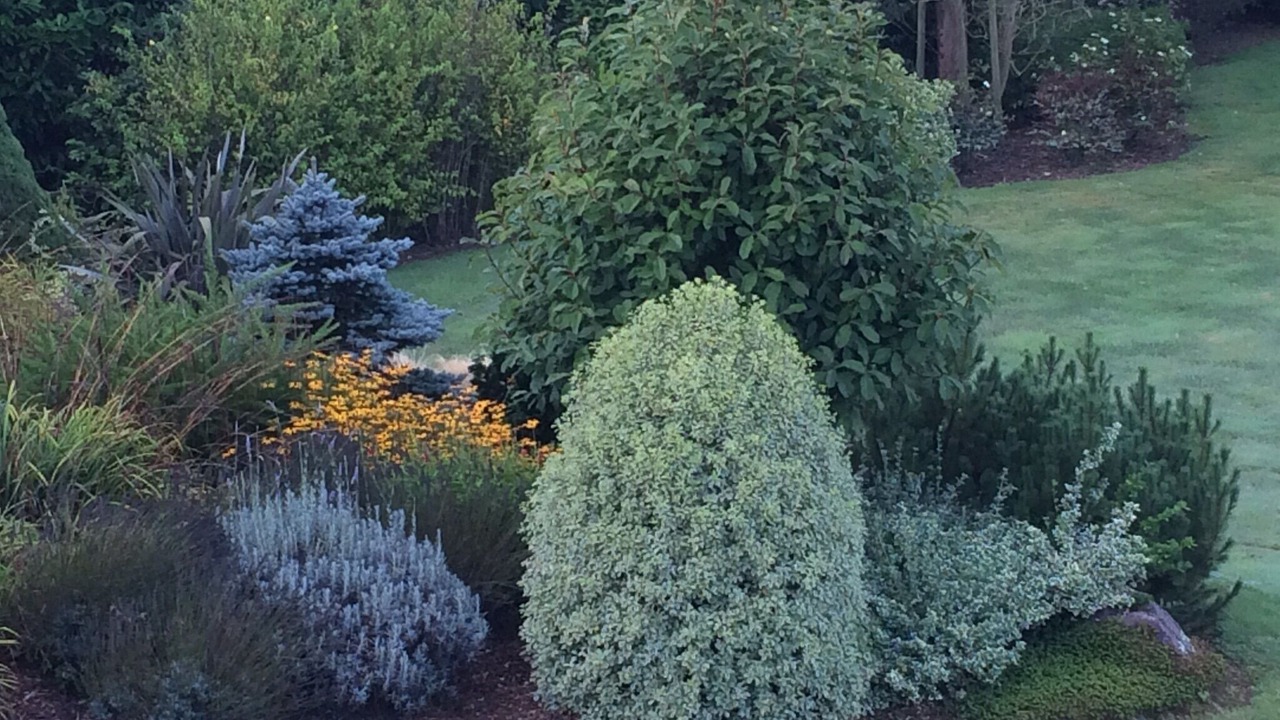 Photo of Outdoor in Paimpont