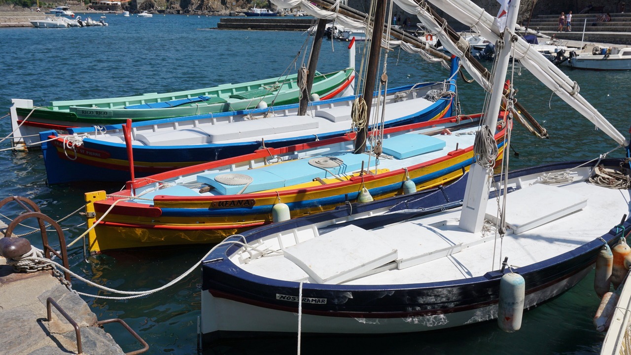Photo of Others in Collioure