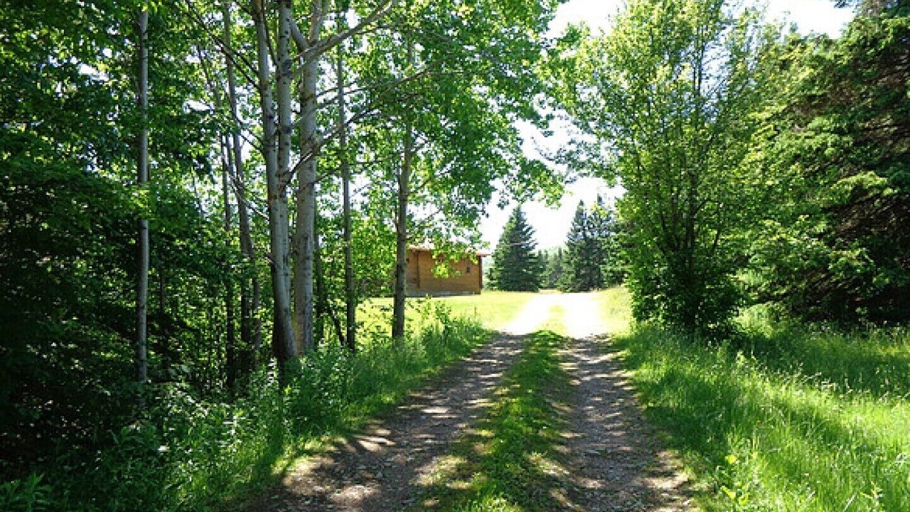 Photo of Others in Margaree Forks