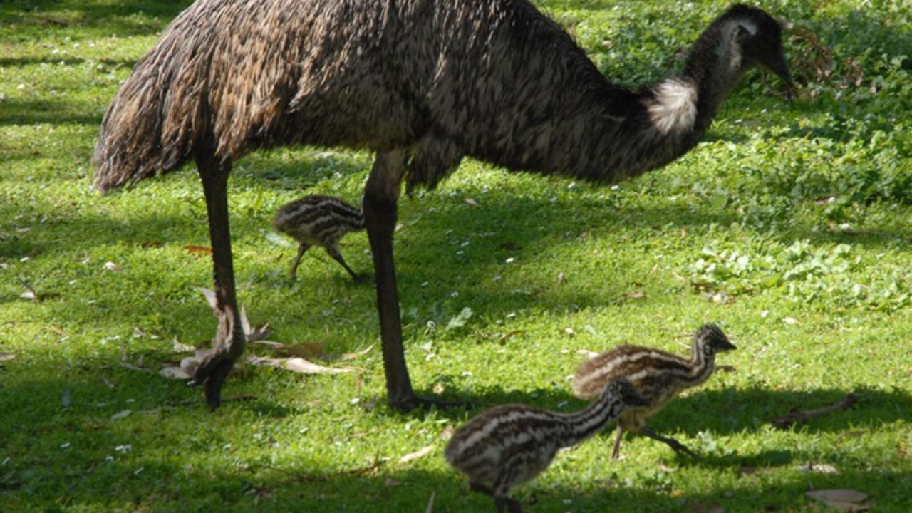 Photo of Outdoor in Dennington