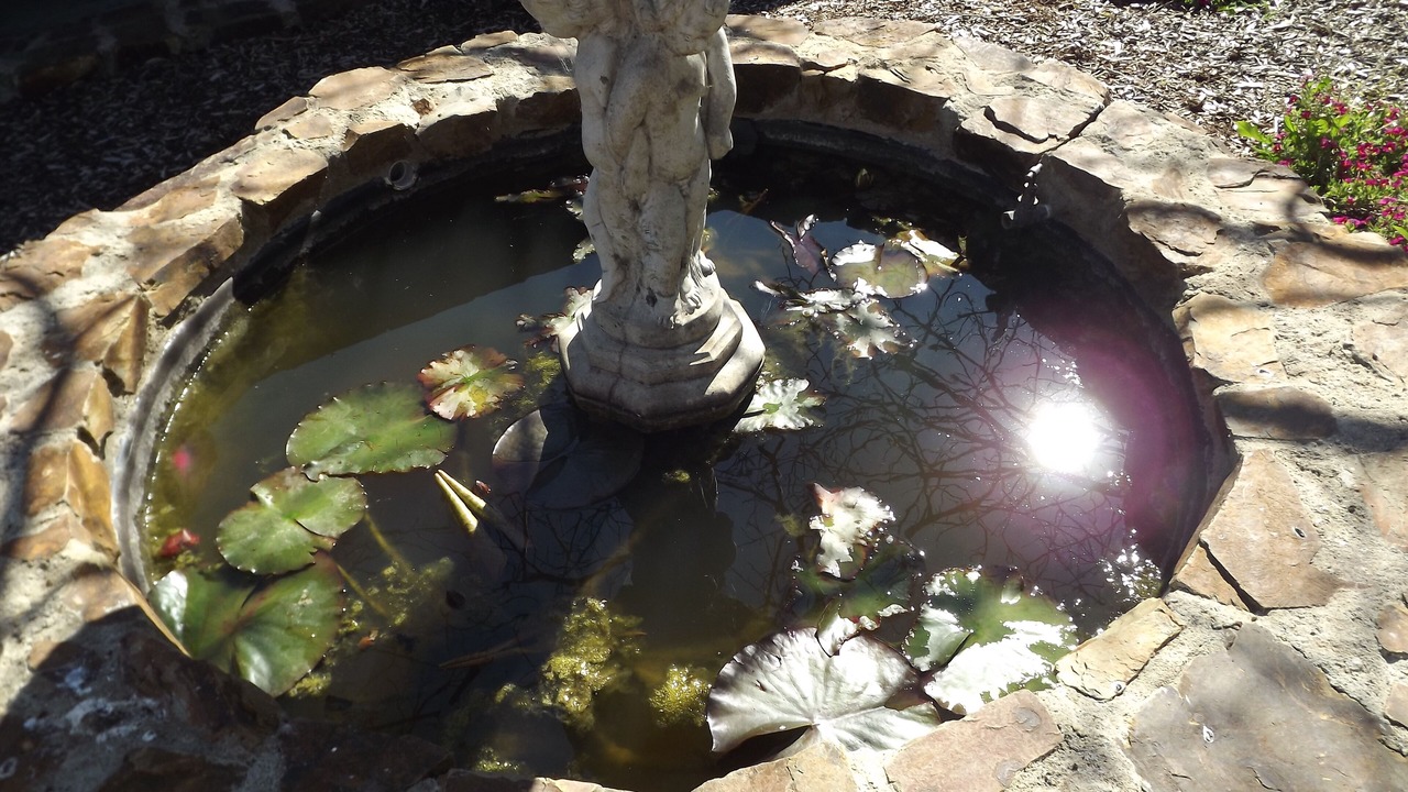 Photo of Outdoor in Kallista