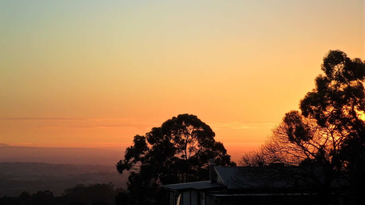 Photo of Others in Kallista