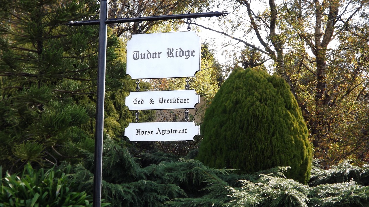 Photo of Others in Kallista