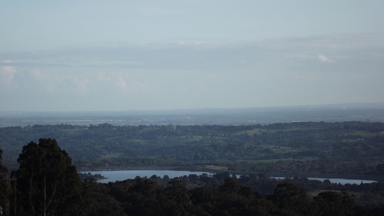 Photo of Others in Kallista