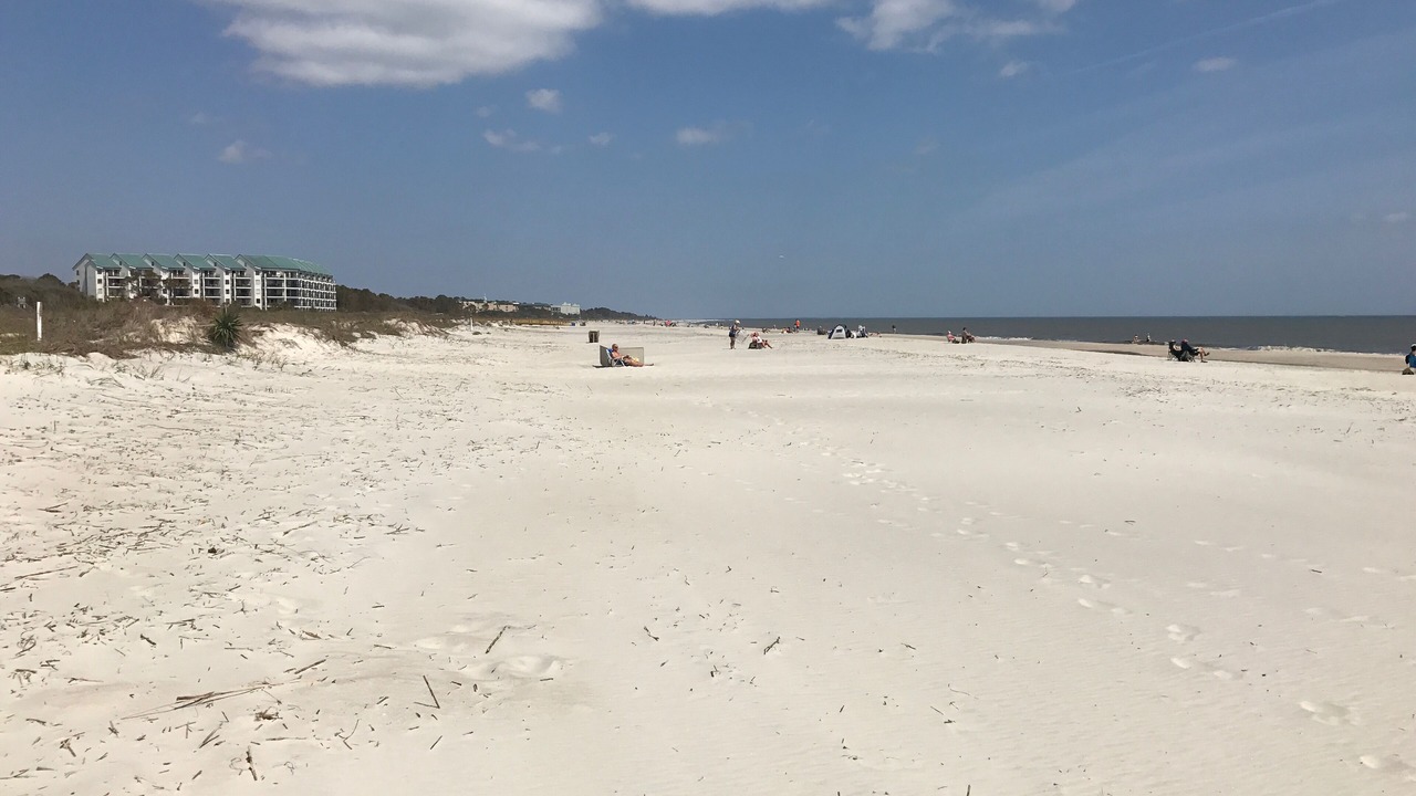 Photo of Others in Folly Field