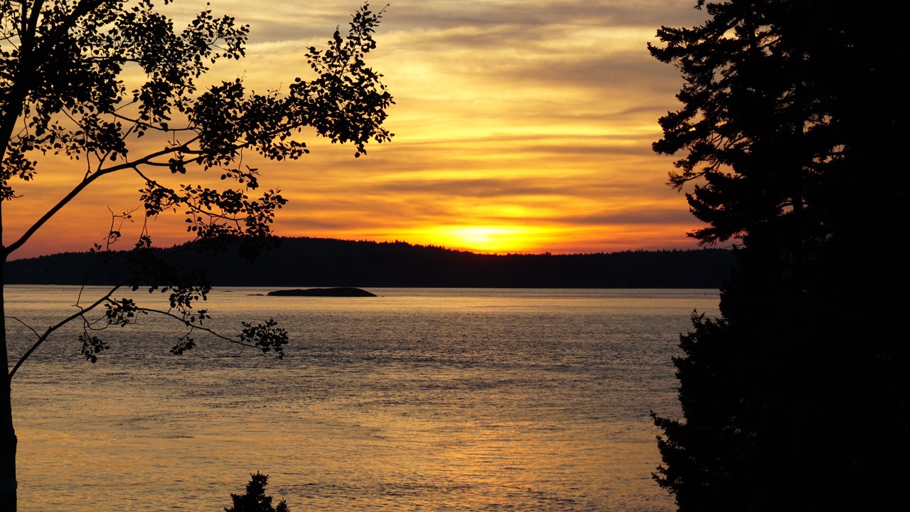 Photo of Others in Campobello Island
