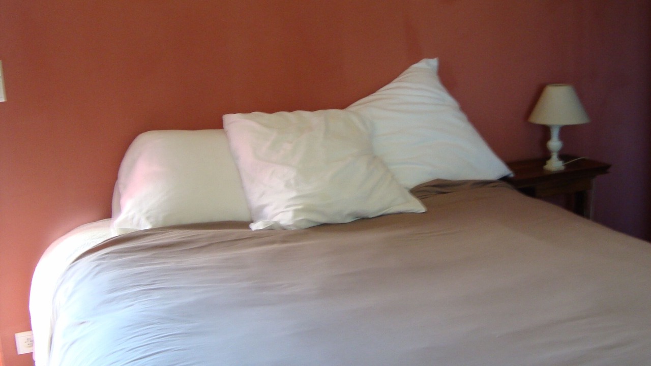 Photo of Bedroom in Chaumussay