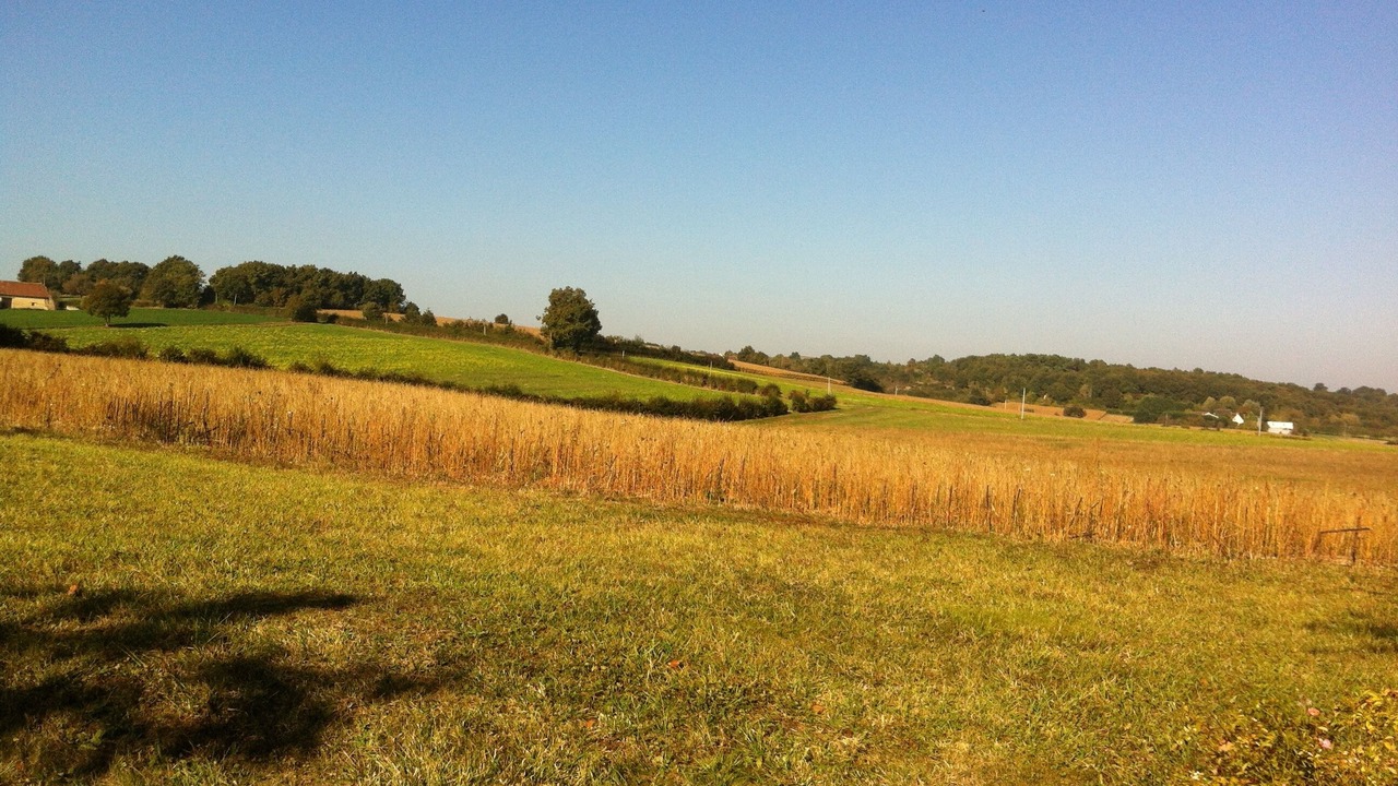Photo of Outdoor in Chaumussay