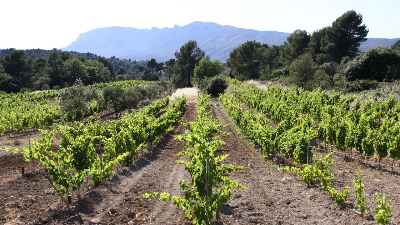 Photo of Outdoor in Pourrieres