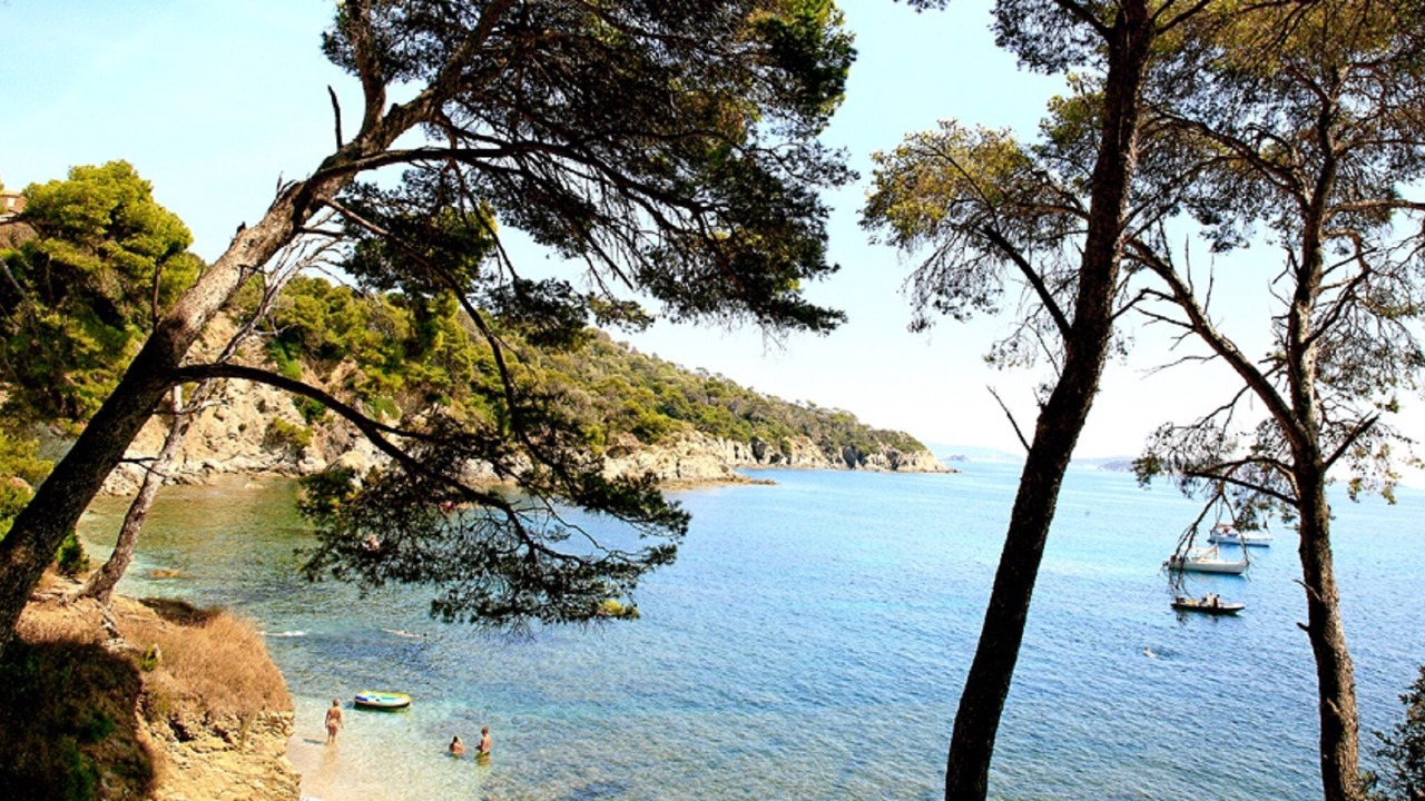 Photo of Others in Giens