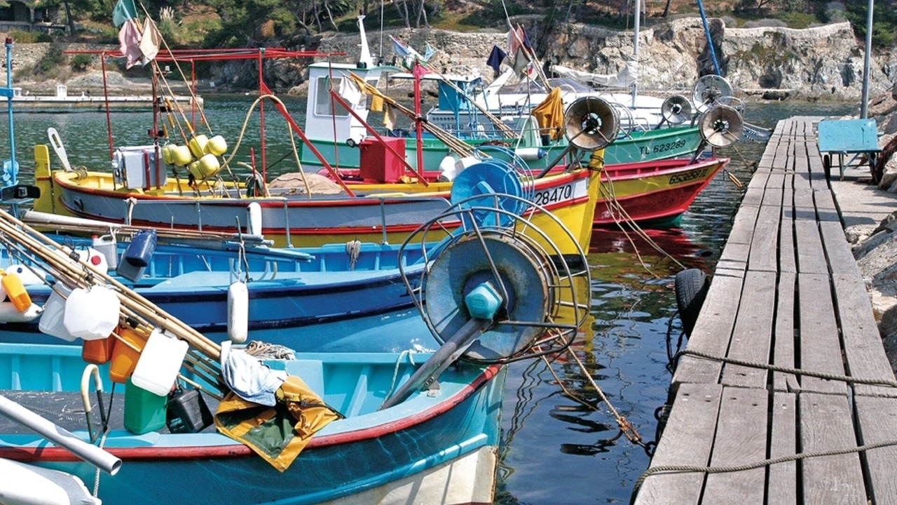Photo of Others in Giens