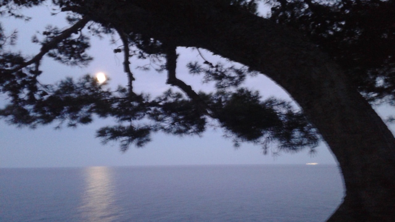 Photo of Others in Llafranc