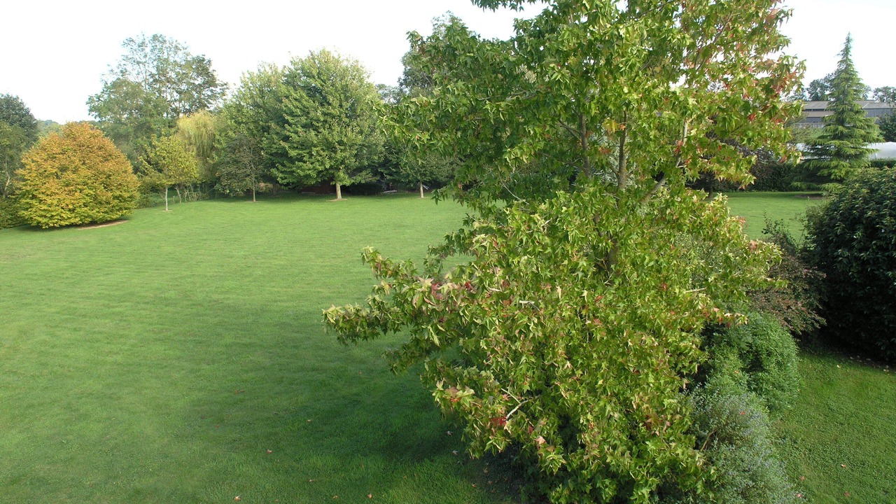 Photo of Outdoor in Cully