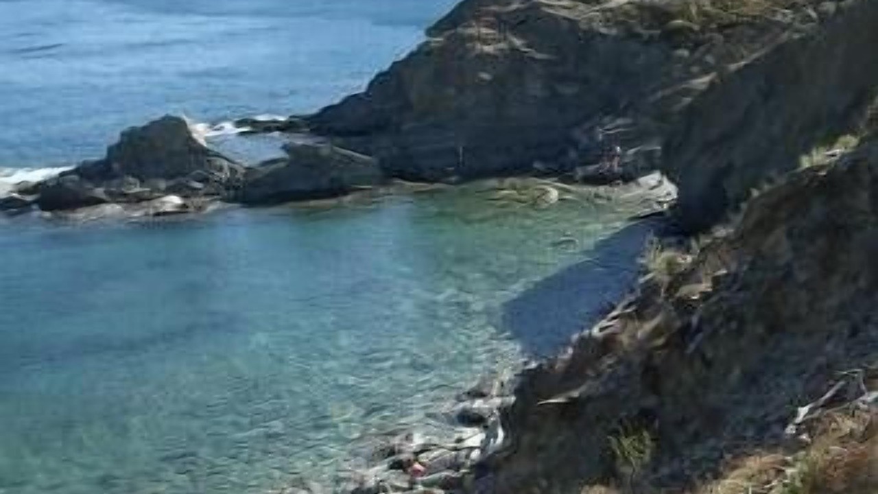 Photo of Others in Port-Vendres
