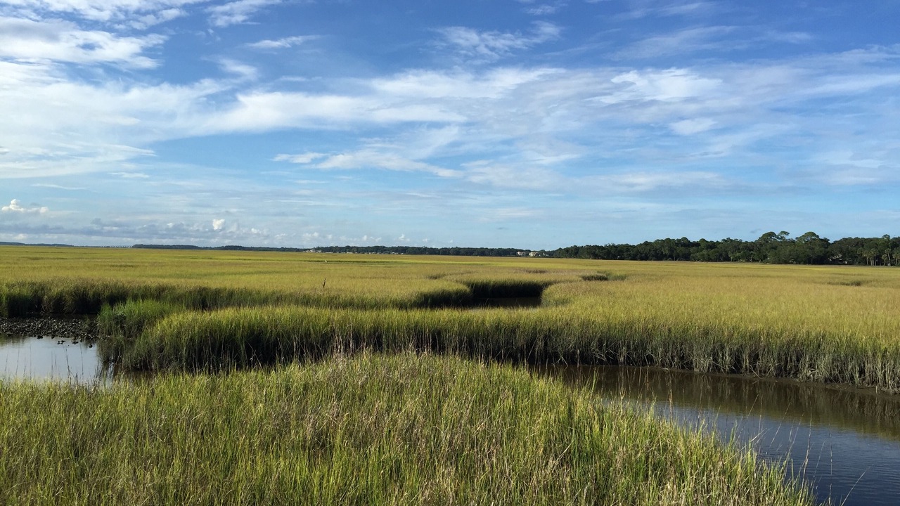 Photo of Others in Fernandina Beach