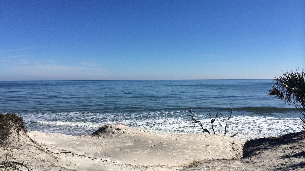 Photo of Others in Fernandina Beach