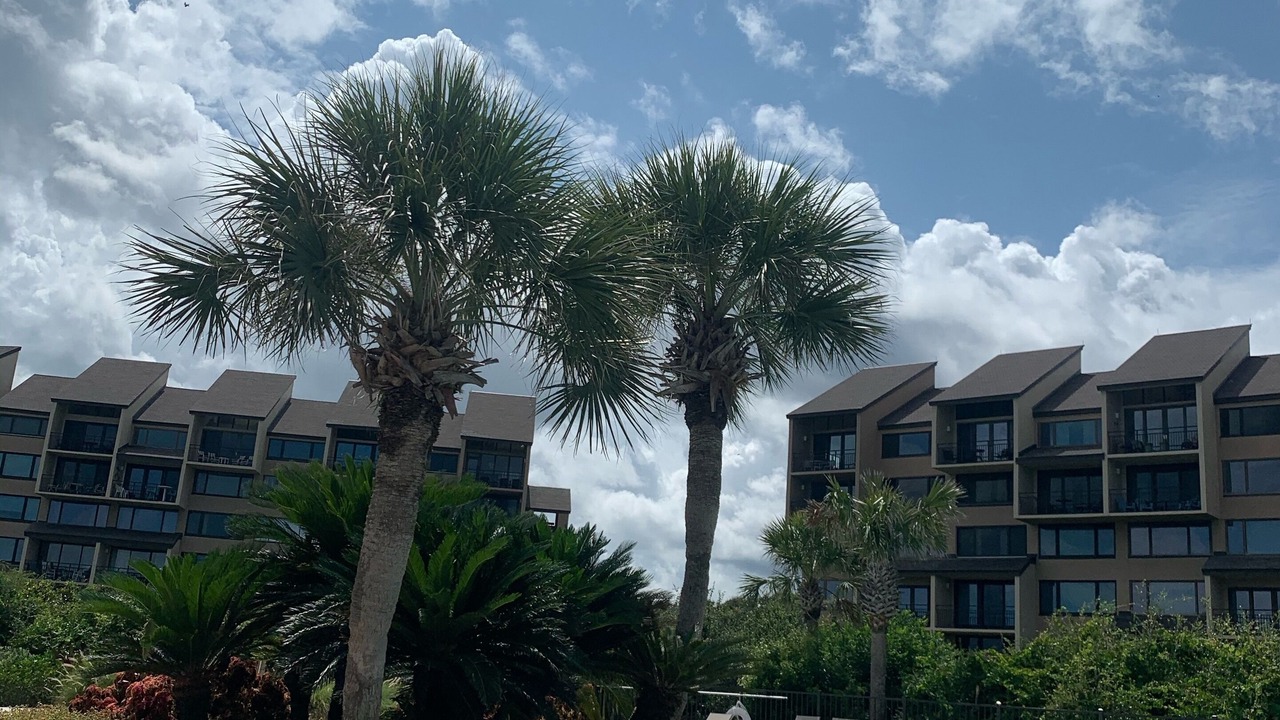 Photo of Outdoor in Fernandina Beach