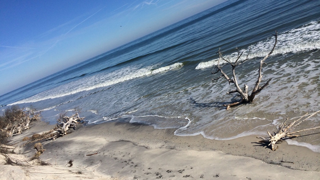 Photo of Others in Fernandina Beach