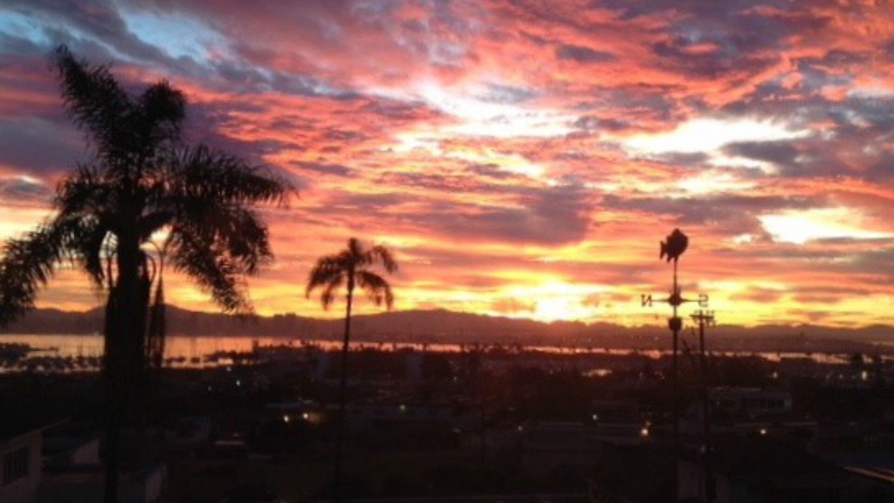 Photo of Others in Point Loma