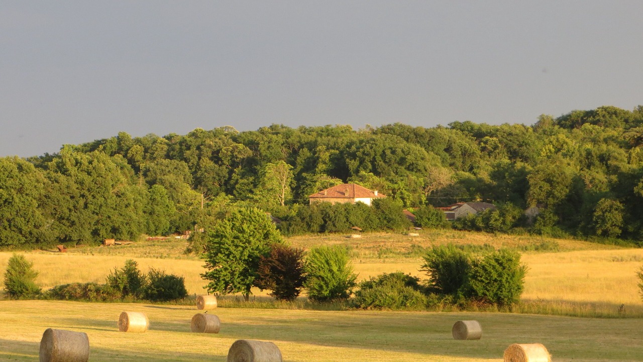 Photo of Others in Gondrin